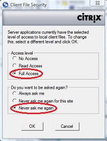 Citrix Client File Security