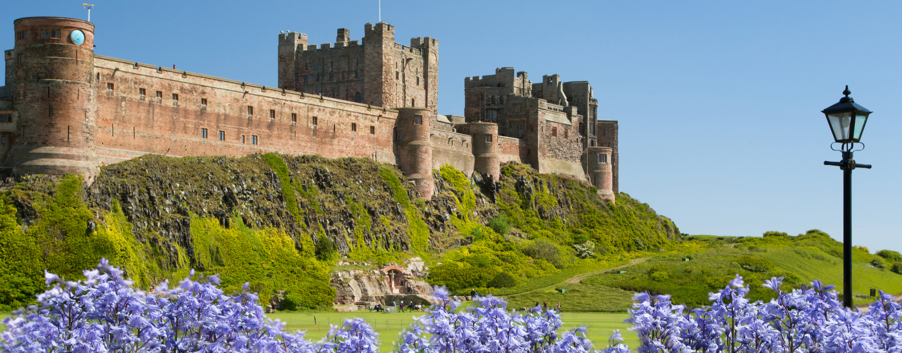 Bamburgh Castle with lavender flowers