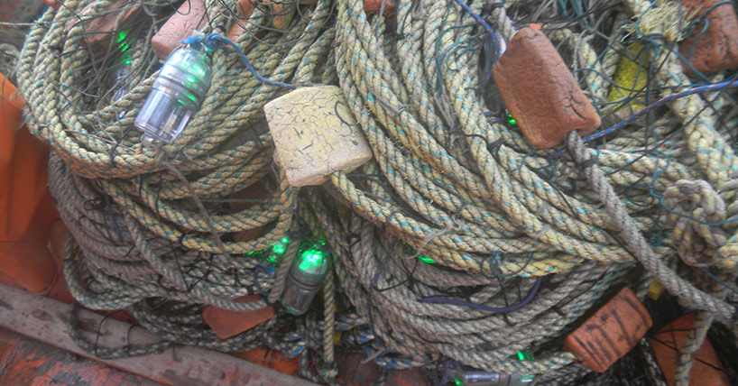 LED lights tested in drift gillnets in Peru