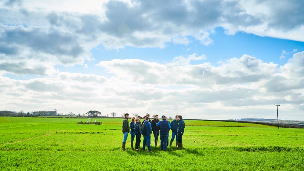 Students stand in a field at Cockle Park Farm