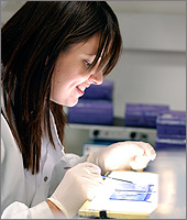 Undergraduate student