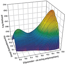 Statistical genetic factors
