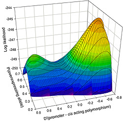 Polymorphism research