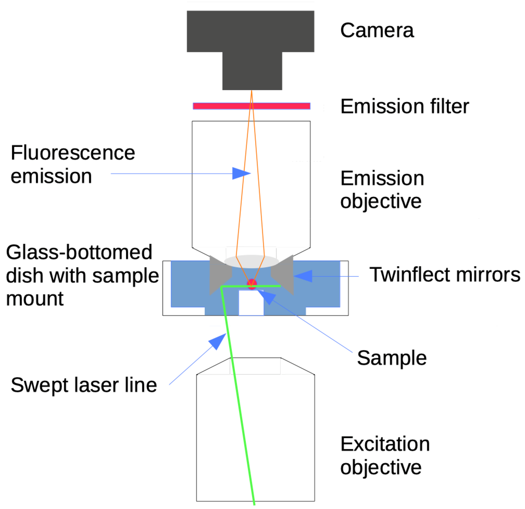 Light Sheet Microscopy Bioimaging