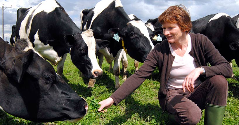 Organic Dairy Politics | lupon.gov.ph