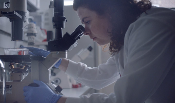 Dr Rachel O'Donnell looking through a microscope