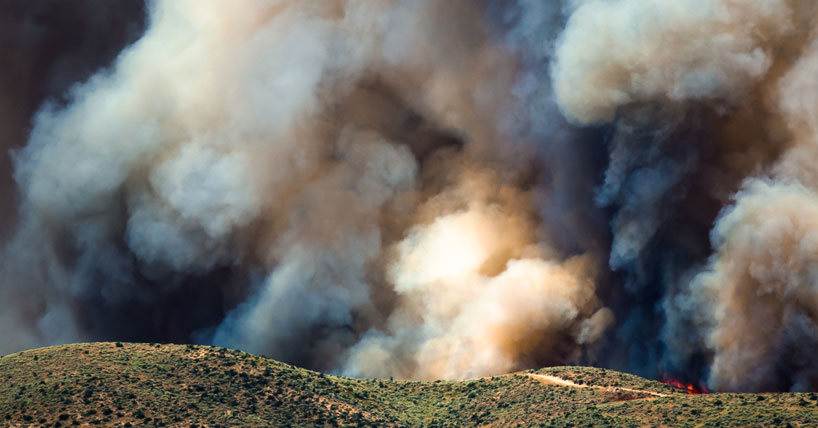 Forest fires Forest fires