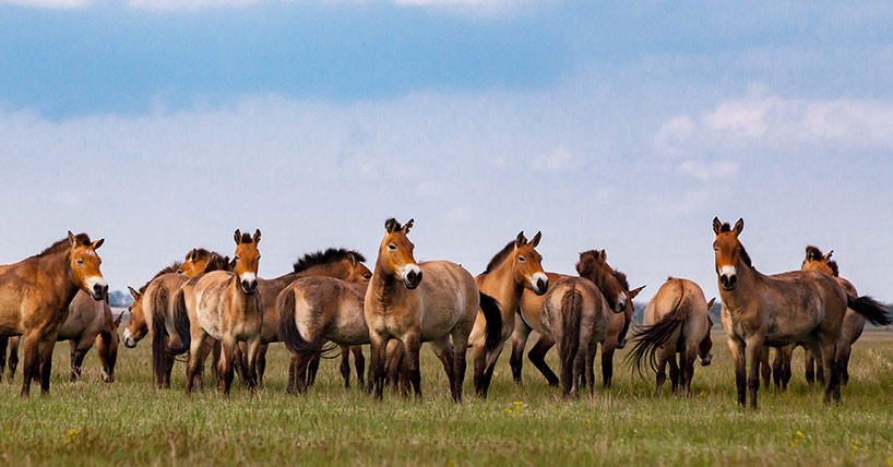 Helping achieve Global Biodiversity Framework ambitions image