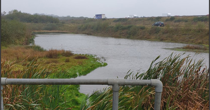 A retention pond constructed alongside the A30 in Cornwall that was analysed as part of the research (Credit University of Plymouth)
