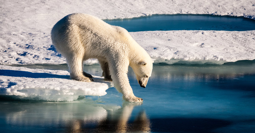 Schoolchildren explore careers in polar research image