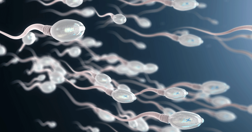 Breakthrough into the cause of male infertility image