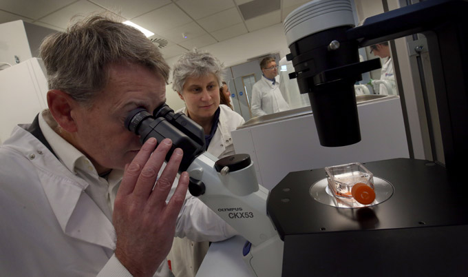 Mark Robson looking at cancer cells through a microscope