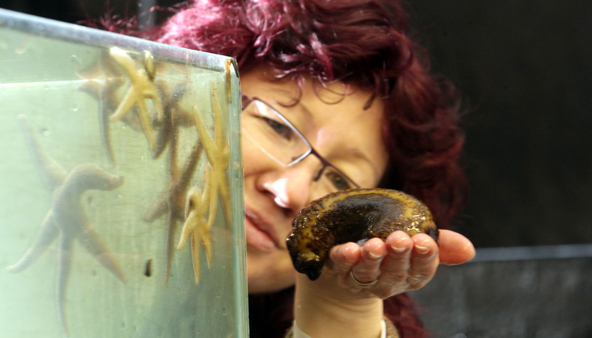 Professor Selina Stead, newly-appointed Chief Scientific Adviser for the MMO