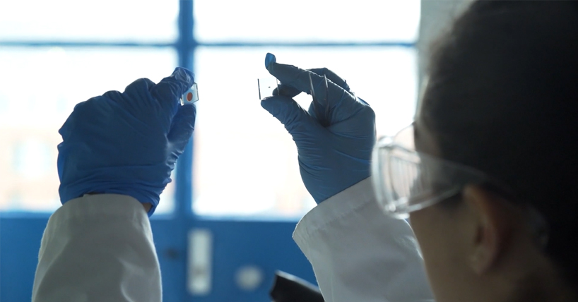 A scientist holding solar cells made with berry juice 