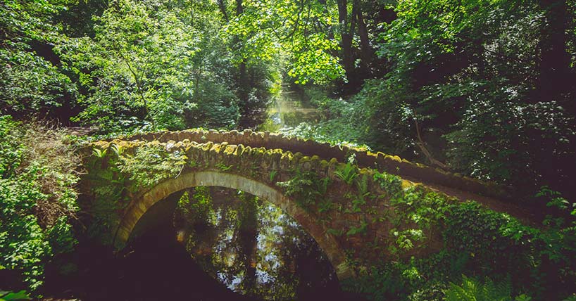 The Ouseburn river in Jesmond Dene