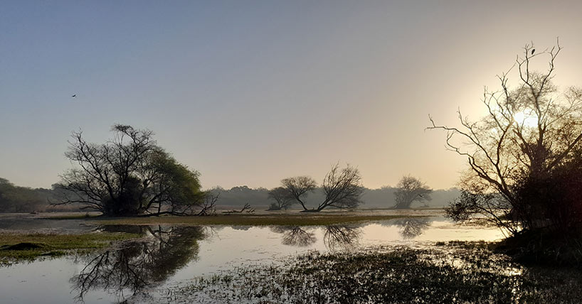 Keoladeo National Park in India