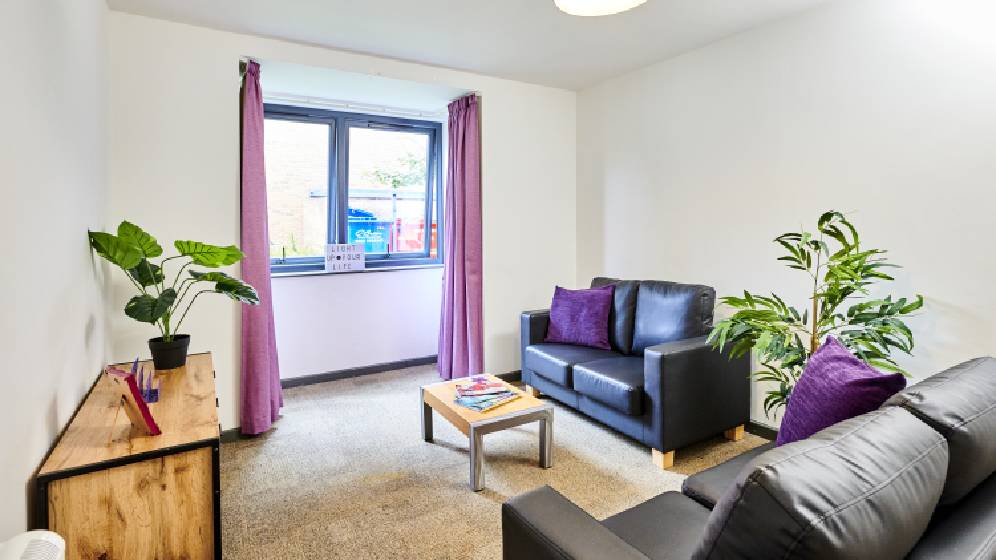 A living room with two, two seater dark leather sofas. There is a very small coffee table and some artificial plants as decoration.