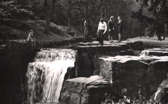 Jesmond Dene waterfall in 1972 (Image from Newcastle Libraries)