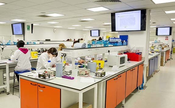Students in lab