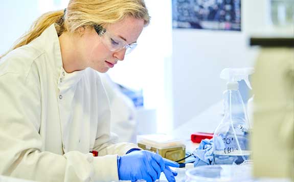 Research in the Faculty of Medical Sciences