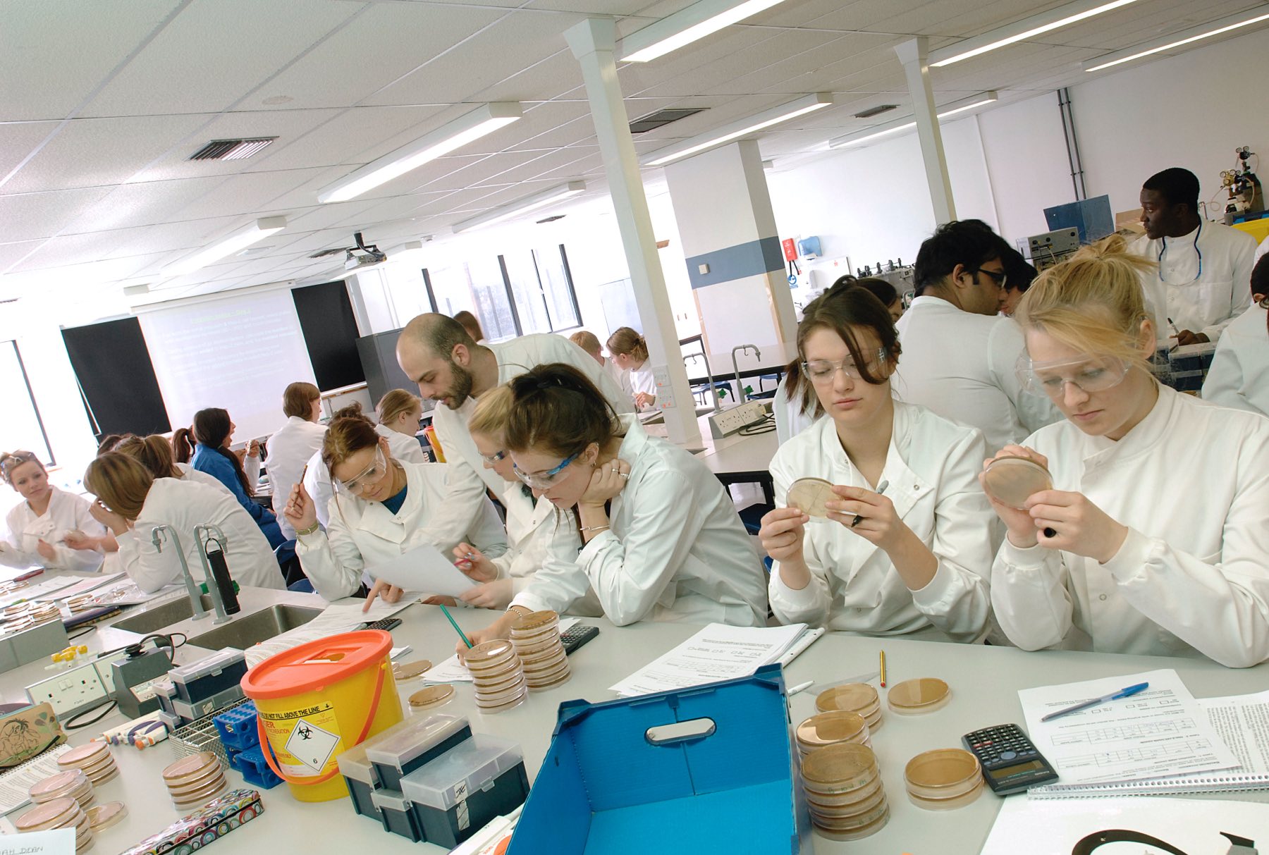 Transfer to Medicine or Dentistry - Biomedical, Nutritional and Sport  Sciences - Newcastle University