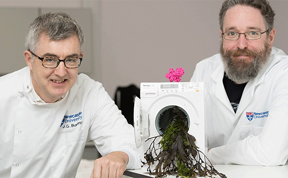 Proctor & Gamble demonstrated the potential of seaweed for use in laundry detergents, cleaning efficiently and effectively at low temperatures.
