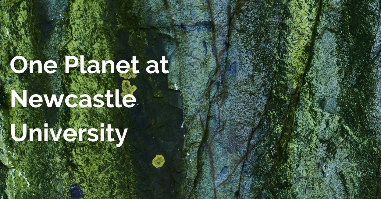 YouTube video for our University's One Planet work