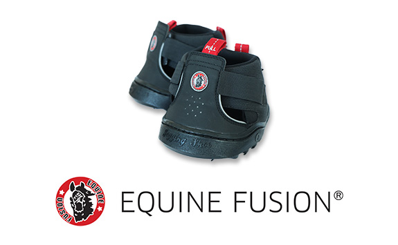 A pair of elastic jogging shoes for horses above the Equine Fusion logo