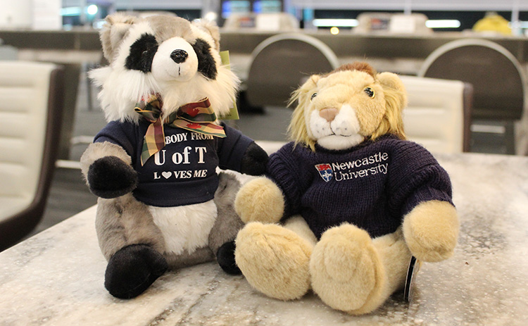 Two stuffed animals — a raccoon wearing a "U of T loves me" shirt and a lion wearing a Newcastle University sweater — sit side by side on a table.