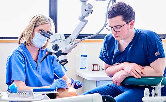 A clinician demonstrates practical skills to a student while working with a patient.