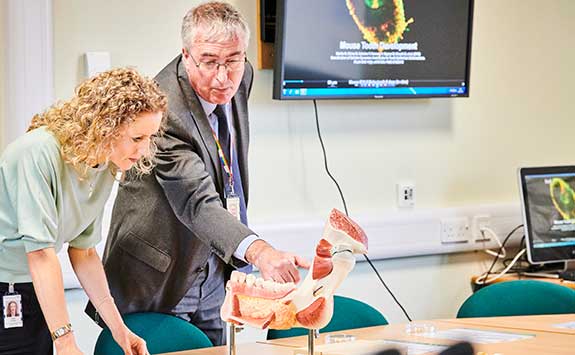 Researchers look at a model within the dental school.