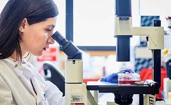 A postgraduate researcher looking through a microscope at our dental school.