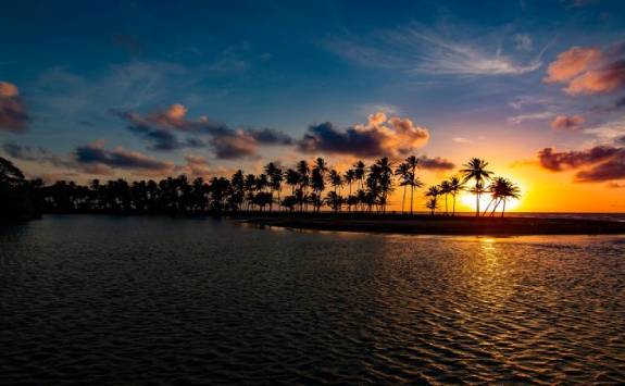 sunset on a beach with palm trees