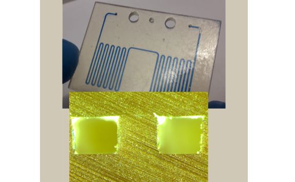 3D printed microfluidic chip