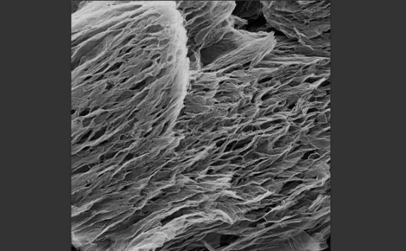 Characterisation: He-ion microscope image of laser scribed graphene sensor