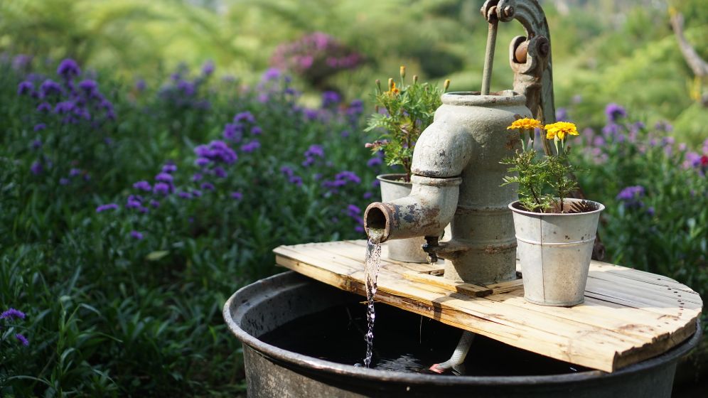 Water pump surrounded by flowers