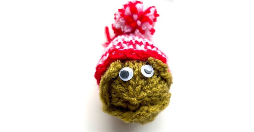 Promotional image for winter craft-along of a knitted sprout.