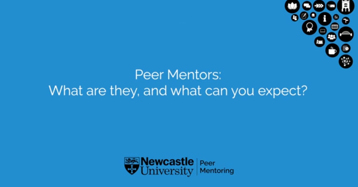 Mentors: who are they and what can you expect?