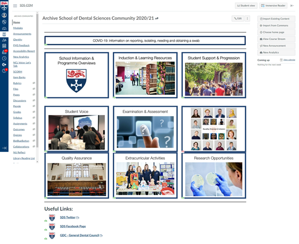 Screenshot of the School of Dental Sciences Canvas Community home page