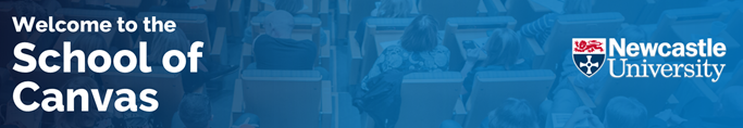 Image of School of Canvas Banner Example