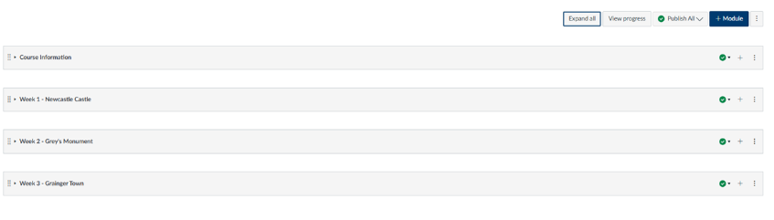Screenshot of Canvas Modules