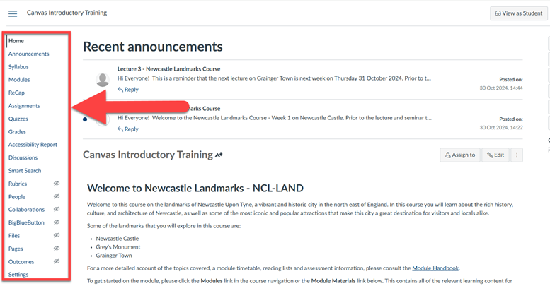 Screenshot of Canvas Course Navigation