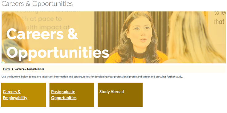 Screenshot of Careers and Opportunities in Community