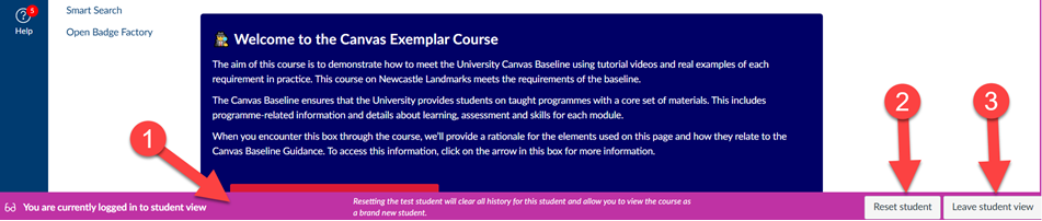 Screenshot of Student View mode