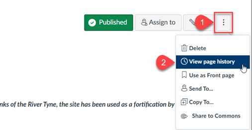 Screenshot of Page Options with Page History highlighted