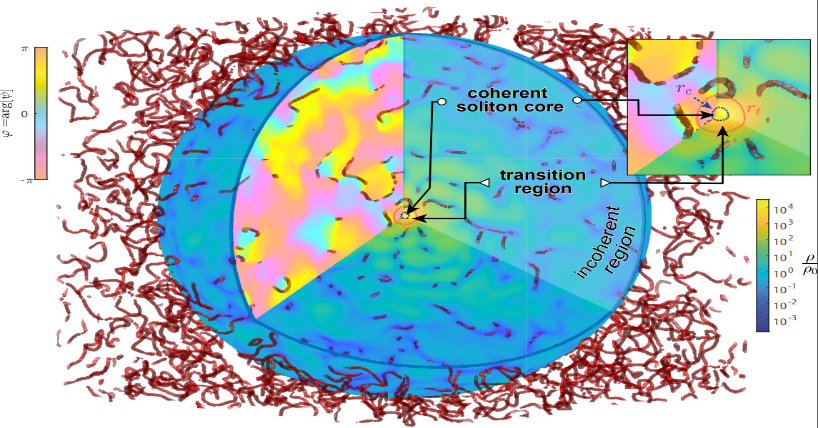 The centre of a fuzzy dark matter halo, labelled “coherent soliton core”. Image created by Dr Gary Liu.    