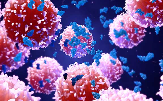 3D illustration of proteins with lymphocytes, t cells or cancer cells.