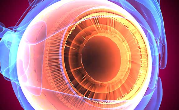 Advanced clinical diagnostics and monitoring of cornea damage.