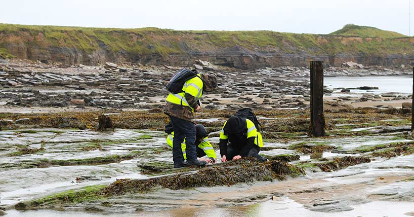 Students in High Vis Jackets observing the coast