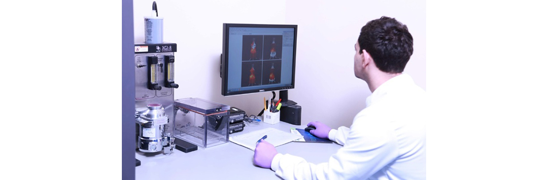 Person using IVIS software